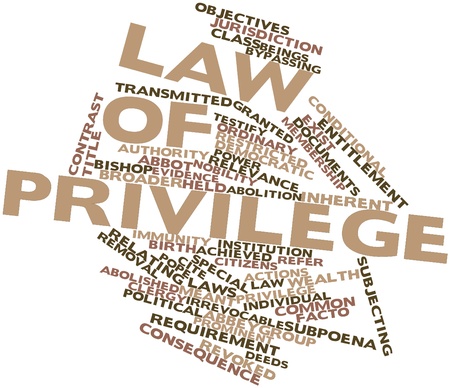 17141896 - abstract word cloud for law of privilege with related tags and terms